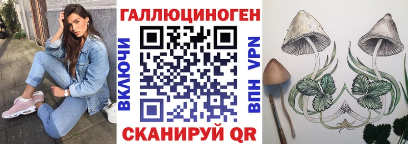 Псилоцибиновые грибы Psilocybe  купить наркотики сайты  Инта 